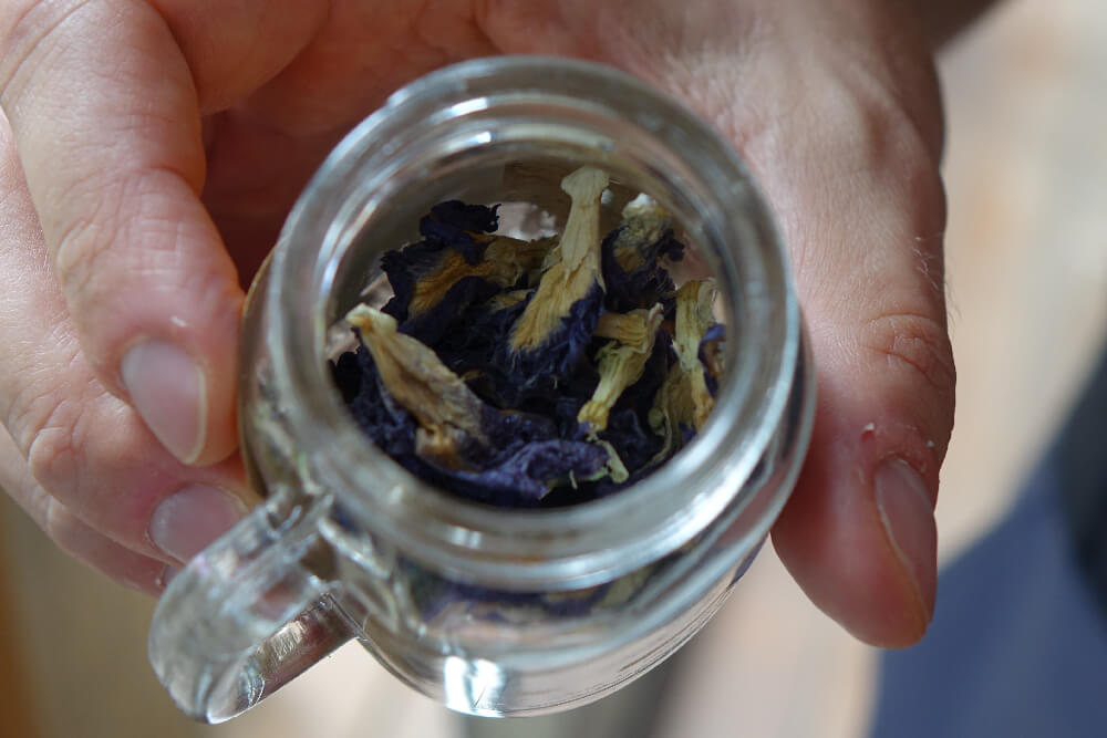 Getrocknete Clitoria Ternatea Blueten