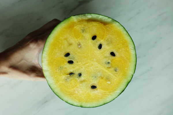 Leben in den Tropen: frische aufgeschnittene gelbe Wassermelone
